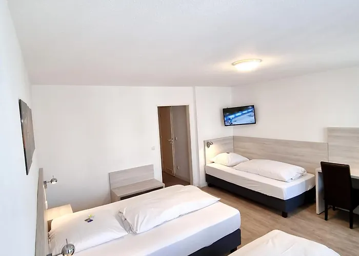 Adler Frankfurt 3* Frankfurt am Main