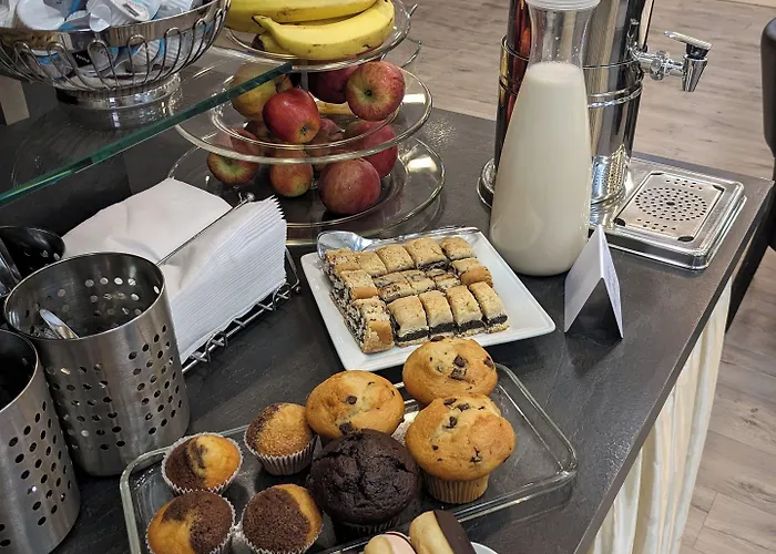 Adler Frankfurt 3*